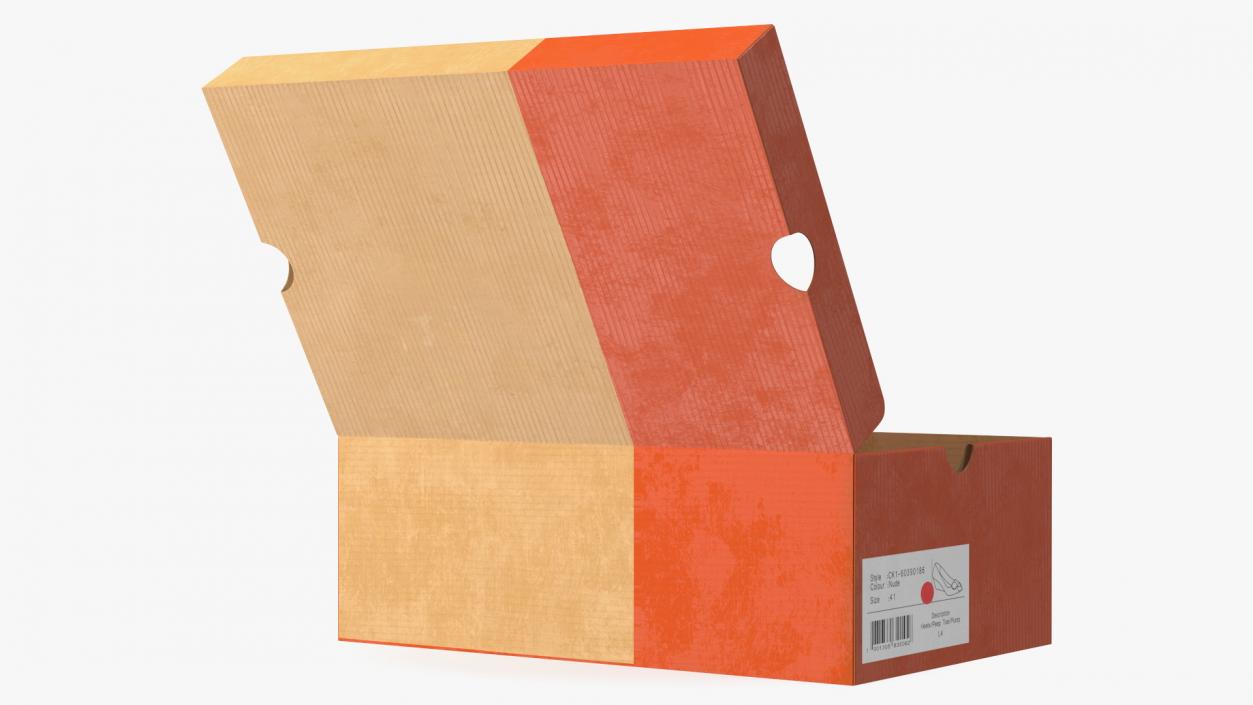 3D model Carton Shoe Box Open