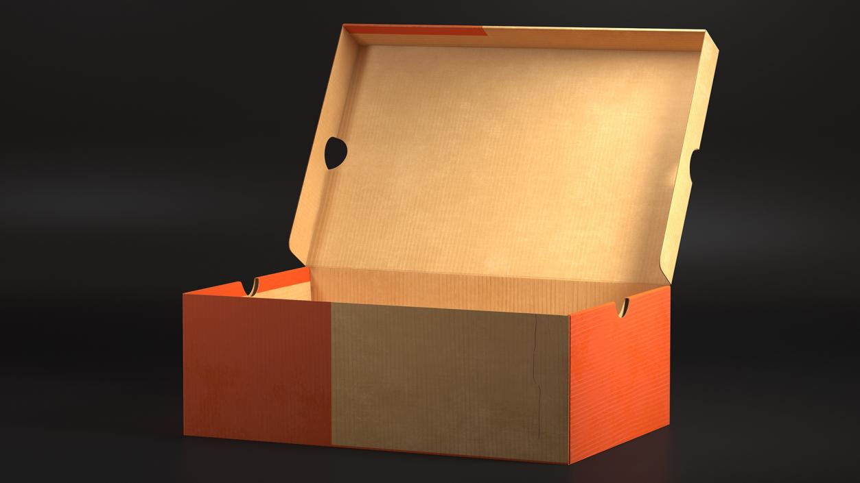 3D model Carton Shoe Box Open