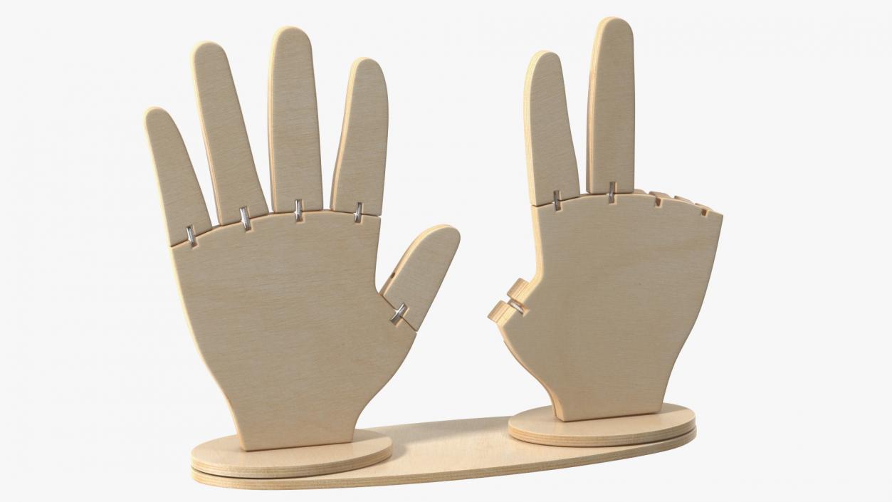 Counting Hands 3D model