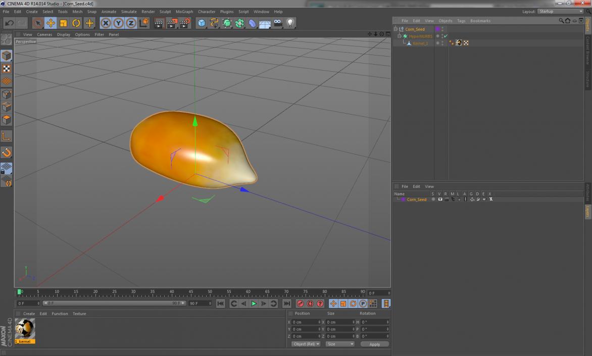 Corn Seed 3D model