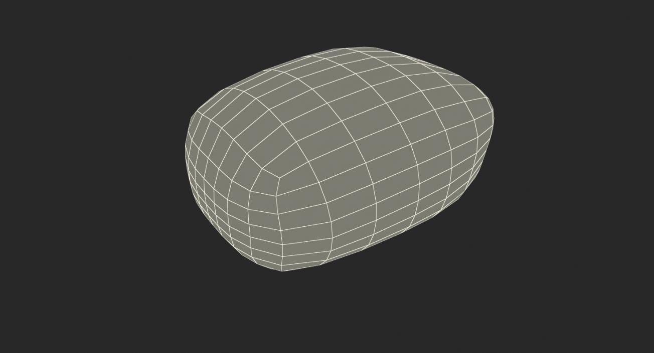 Corn Seed 3D model