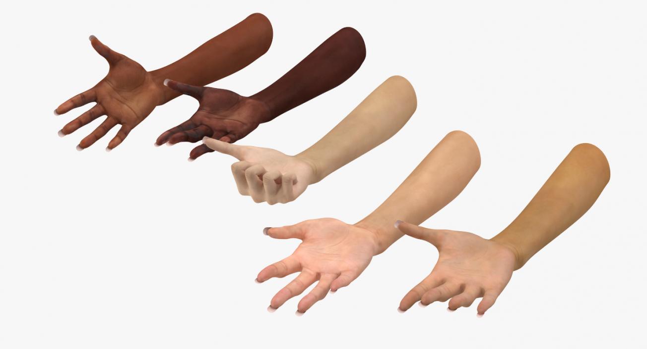 3D Rigged Hands Collection model