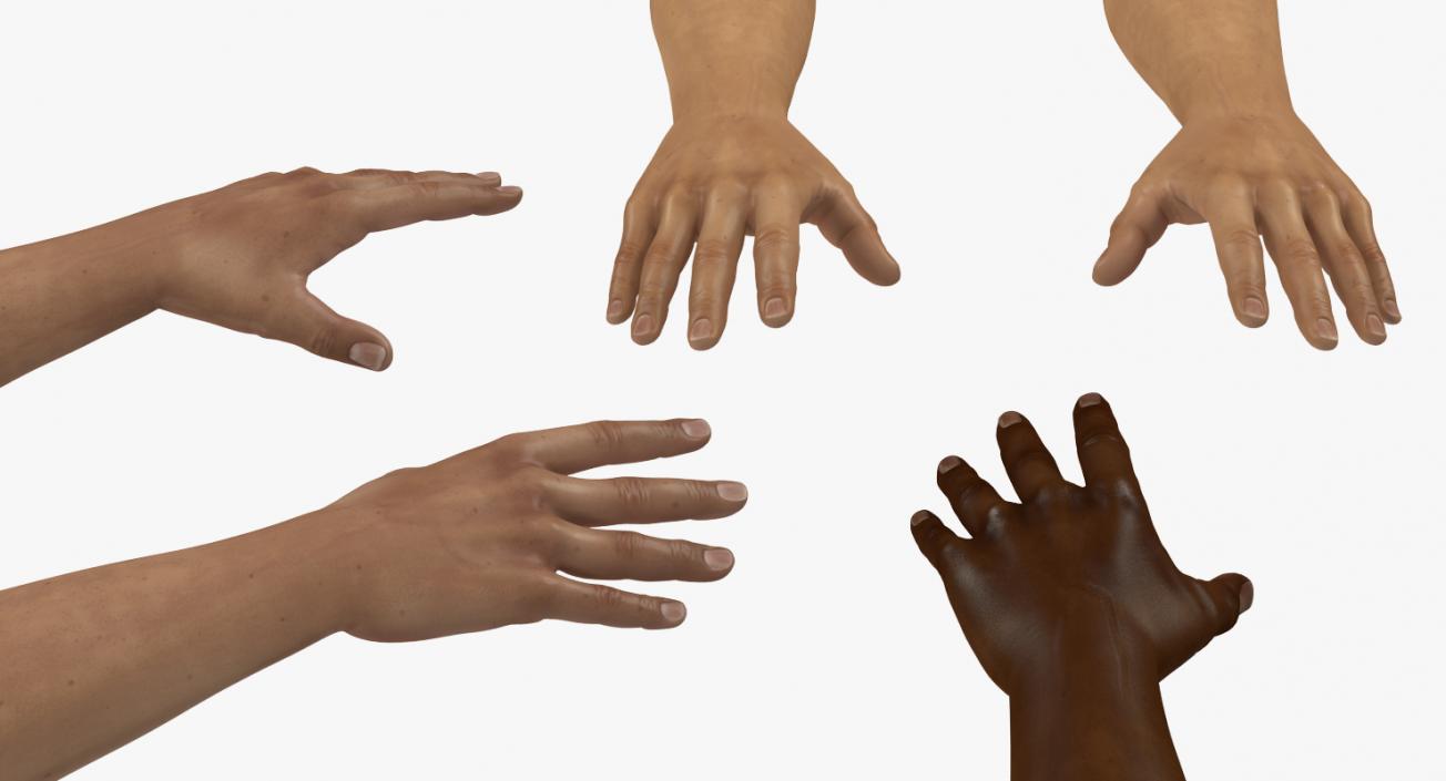 3D Rigged Hands Collection model