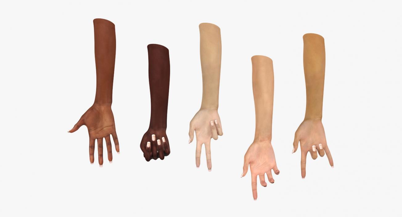 3D Rigged Hands Collection model