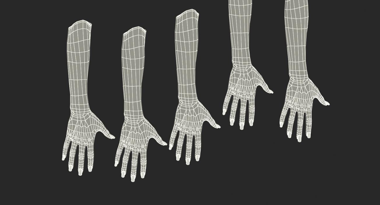 3D Rigged Hands Collection model