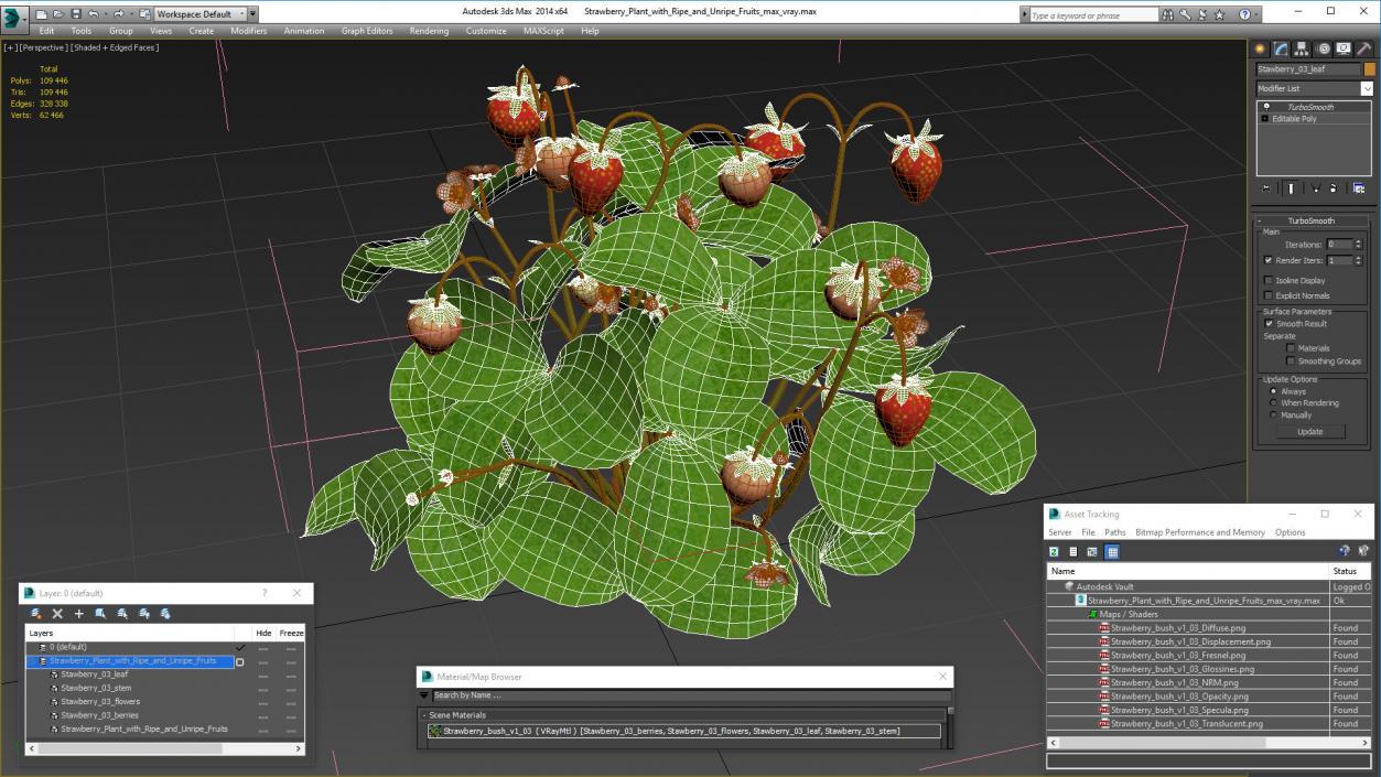 Strawberry Plant with Ripe and Unripe Fruits 3D model