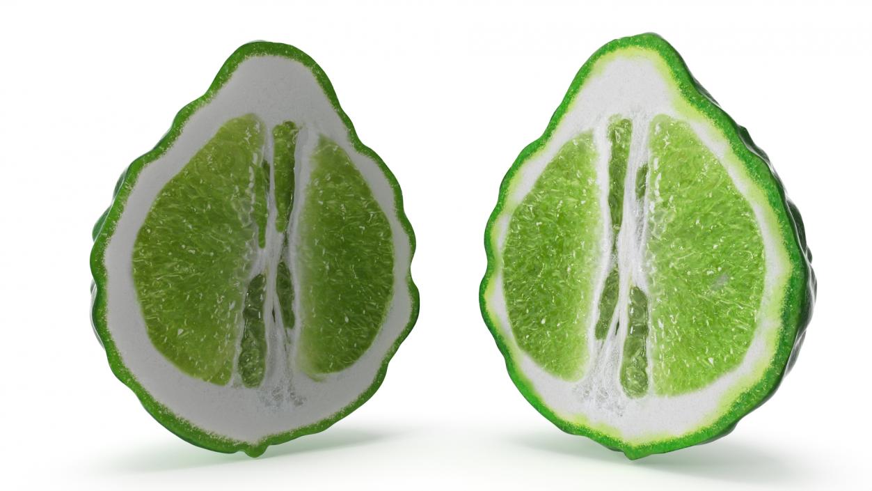 3D Bergamot Half model