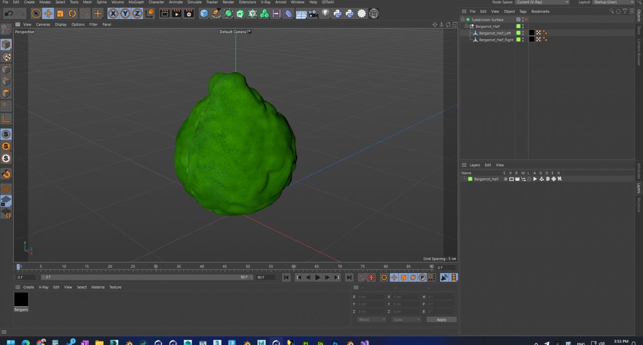 3D Bergamot Half model