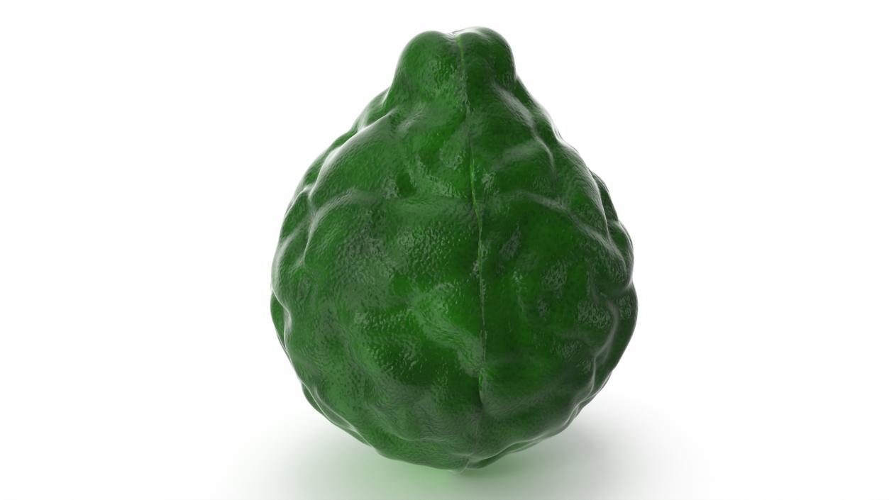 3D Bergamot Half model