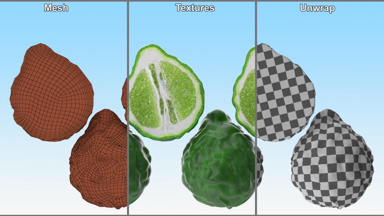 3D Bergamot Half model