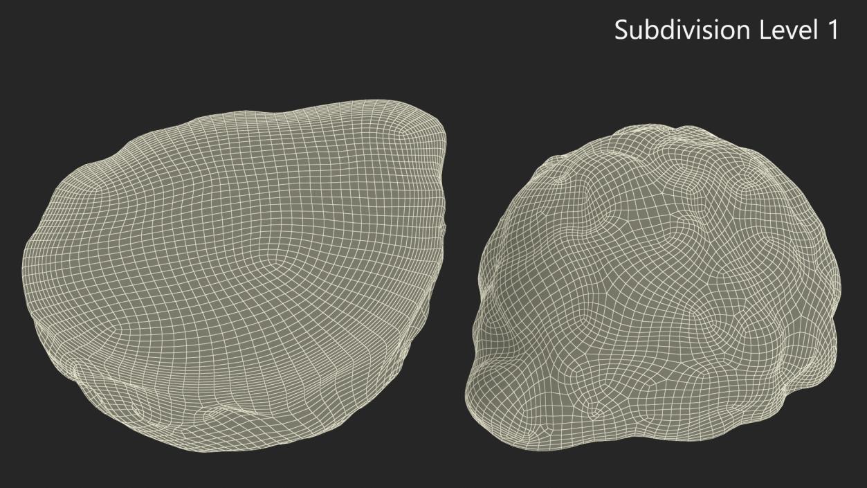 3D Bergamot Half model