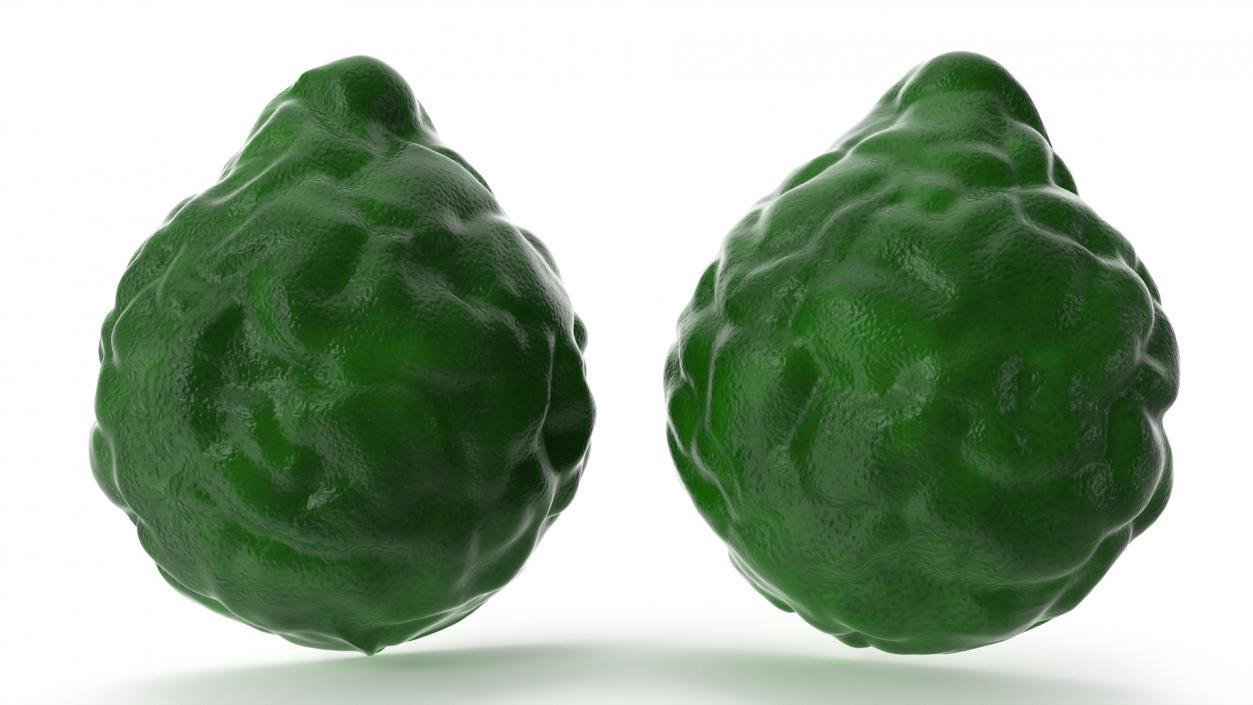 3D Bergamot Half model