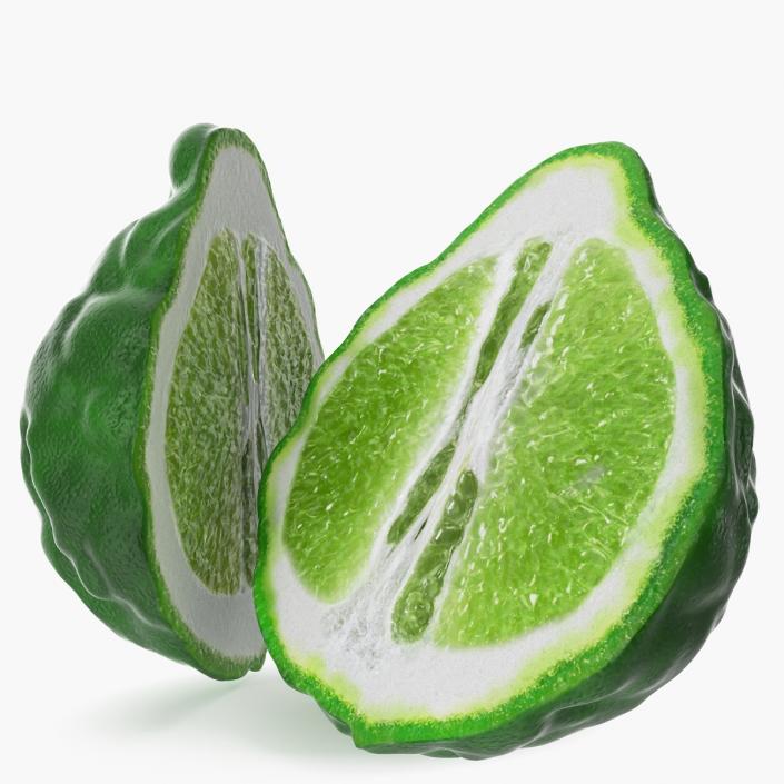 3D Bergamot Half model