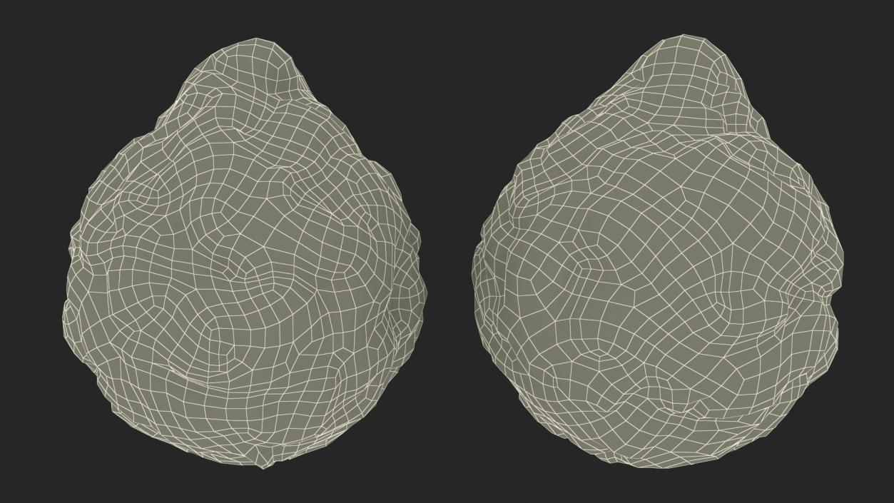 3D Bergamot Half model