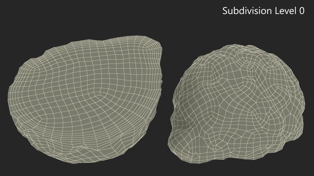 3D Bergamot Half model