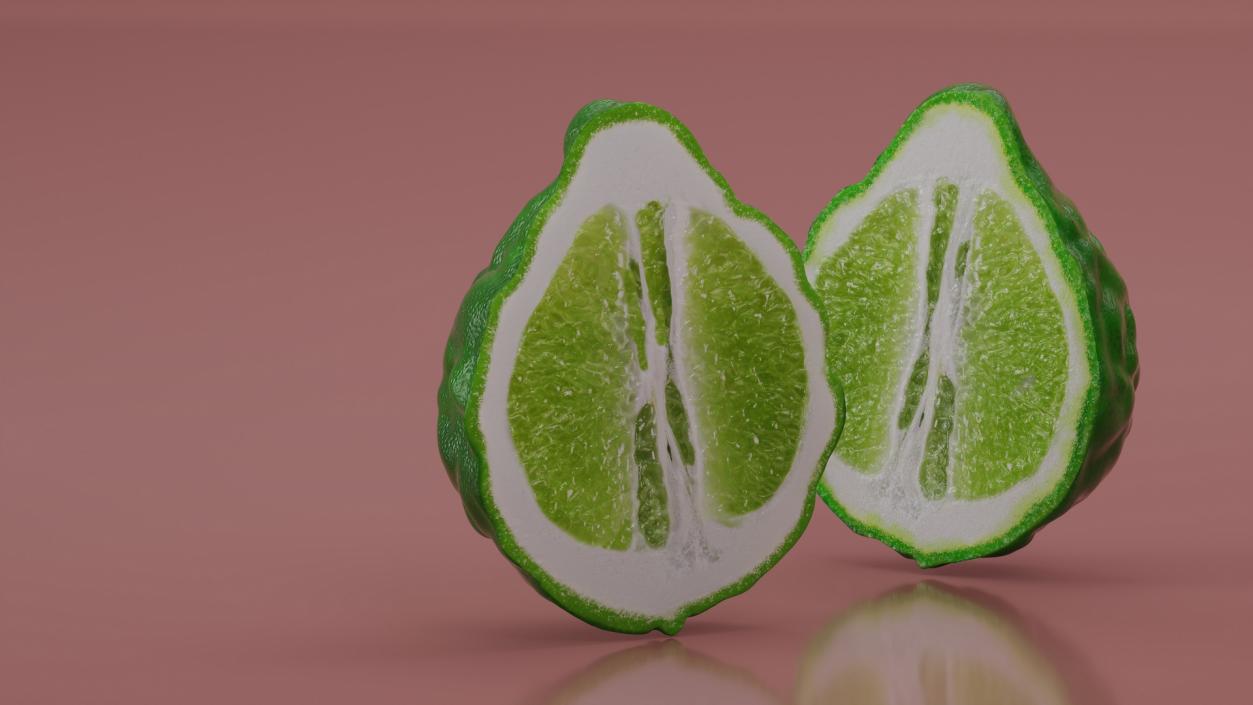 3D Bergamot Half model