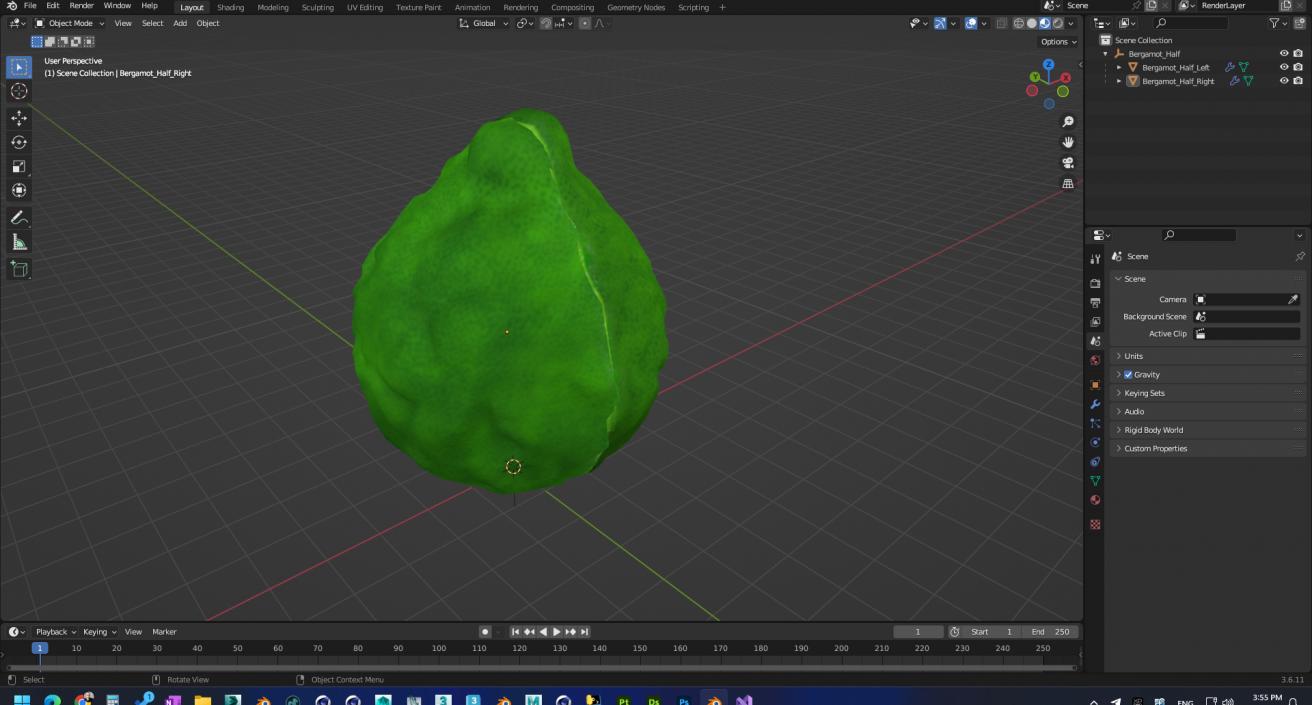 3D Bergamot Half model