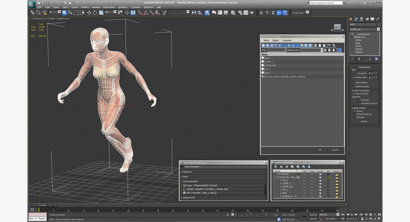 Running Woman Muscular System Anatomy 3D