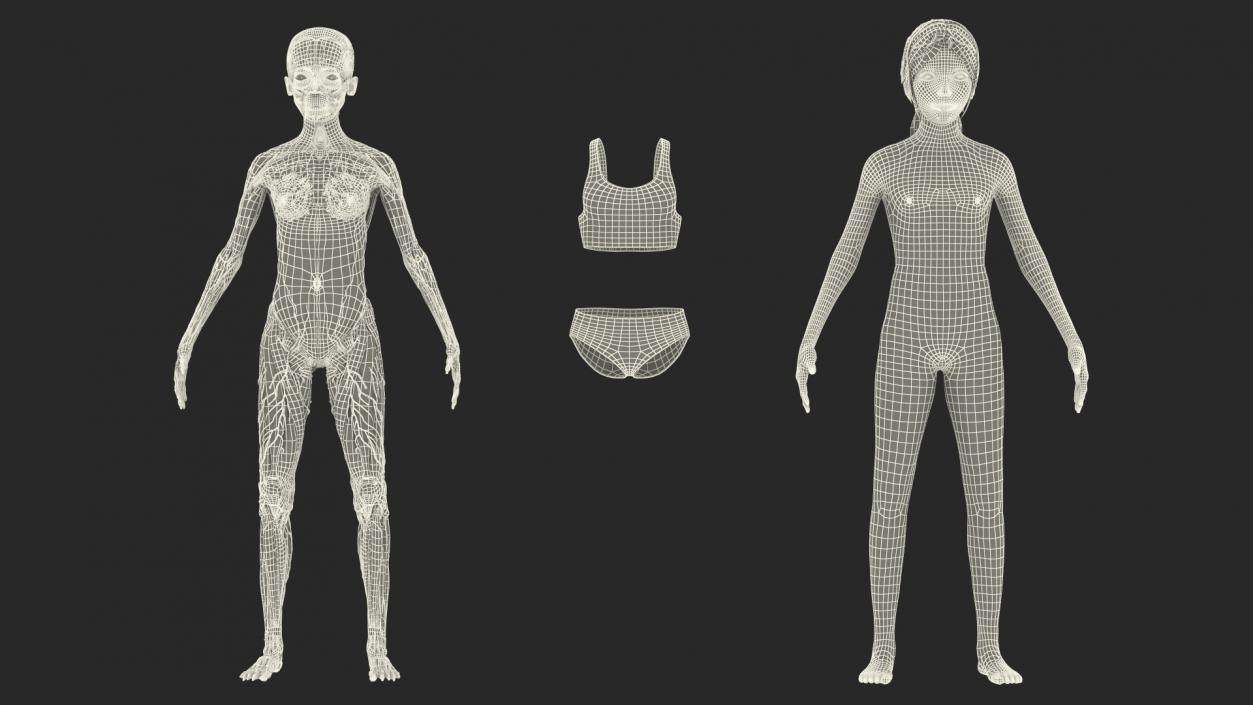 3D model Complete Human Anatomy Collection 2