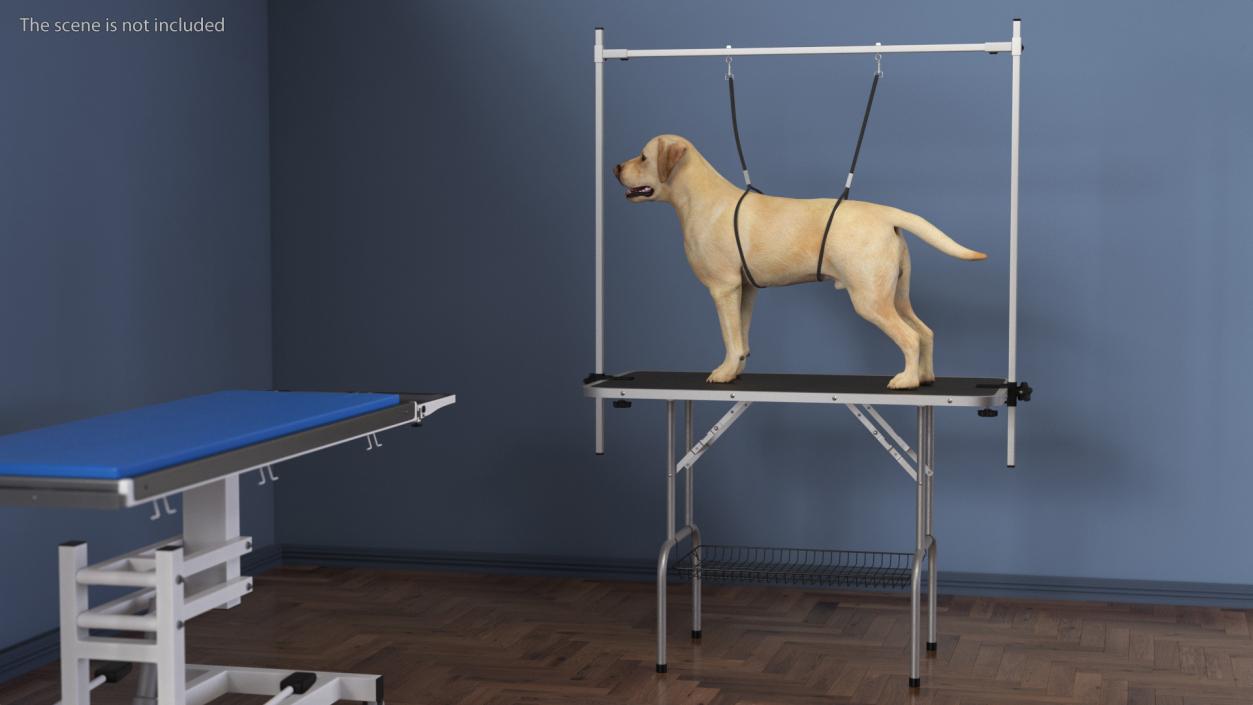 3D Pet Grooming Table model