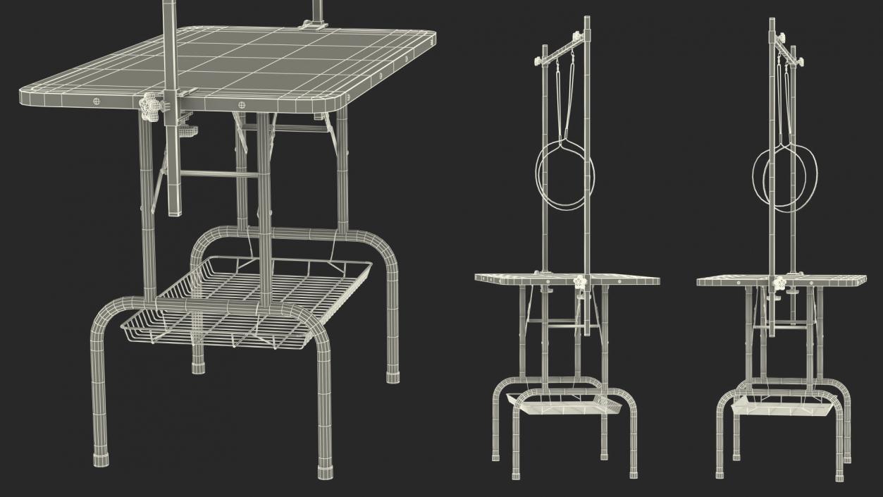 3D Pet Grooming Table model