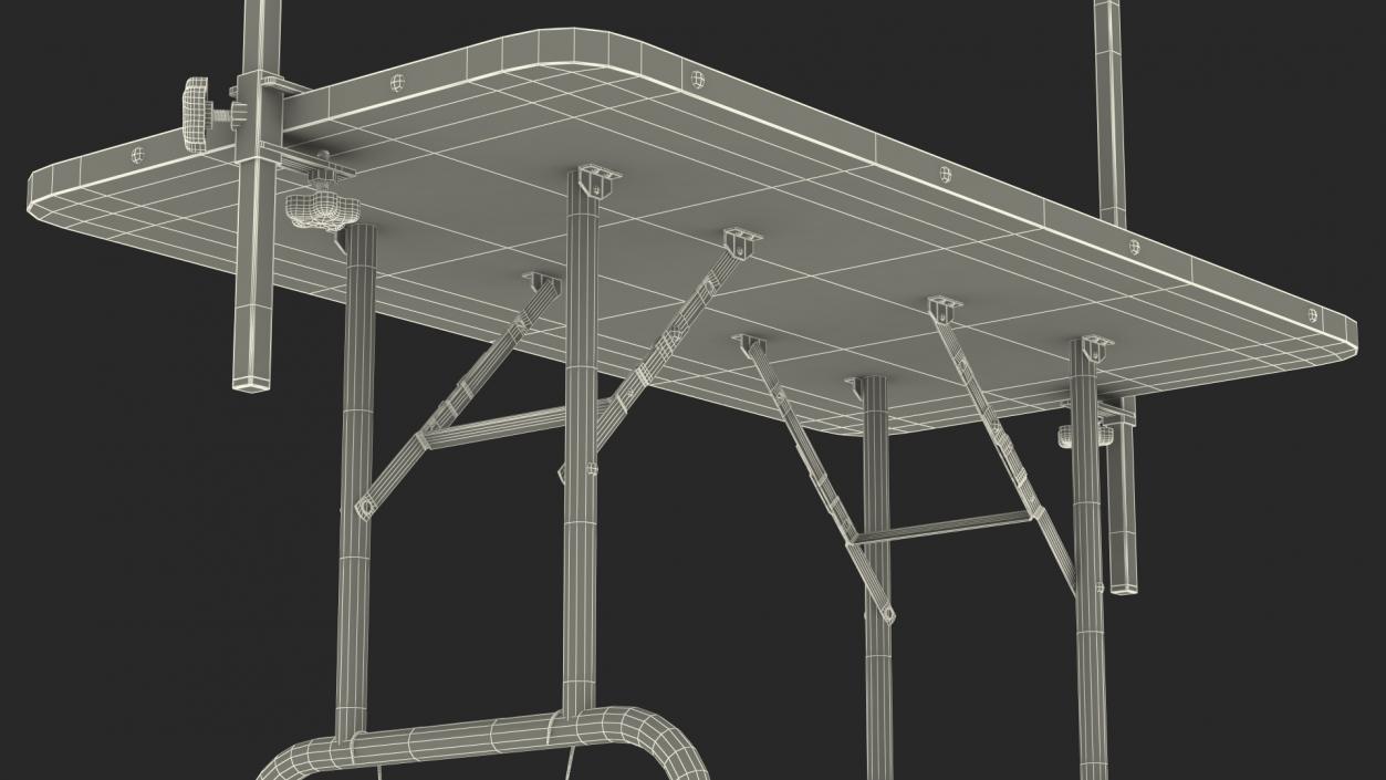 3D Pet Grooming Table model