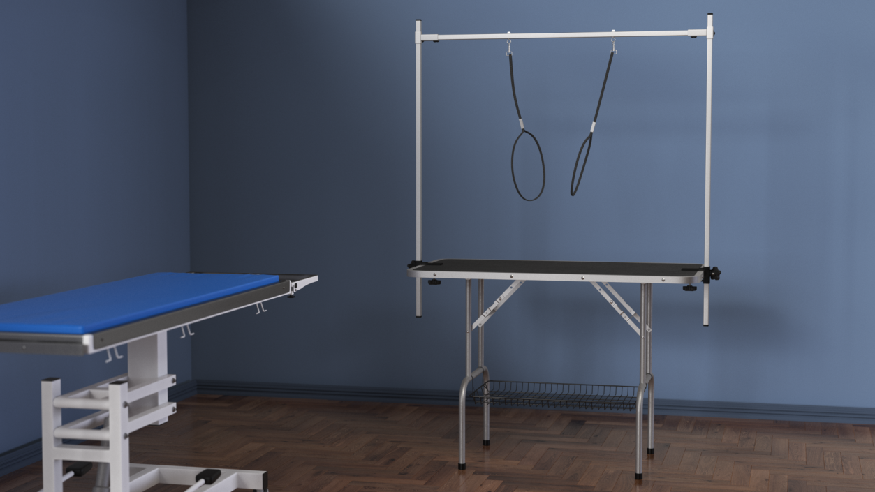 3D Pet Grooming Table model