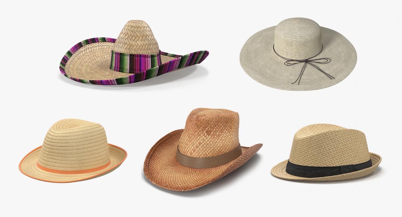 3D Straw Hats Collection 2 model