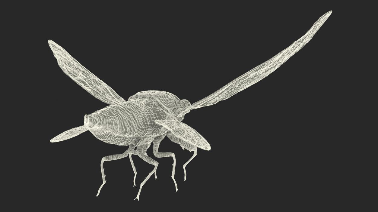 3D Cicada Pose Takeoff Fur model