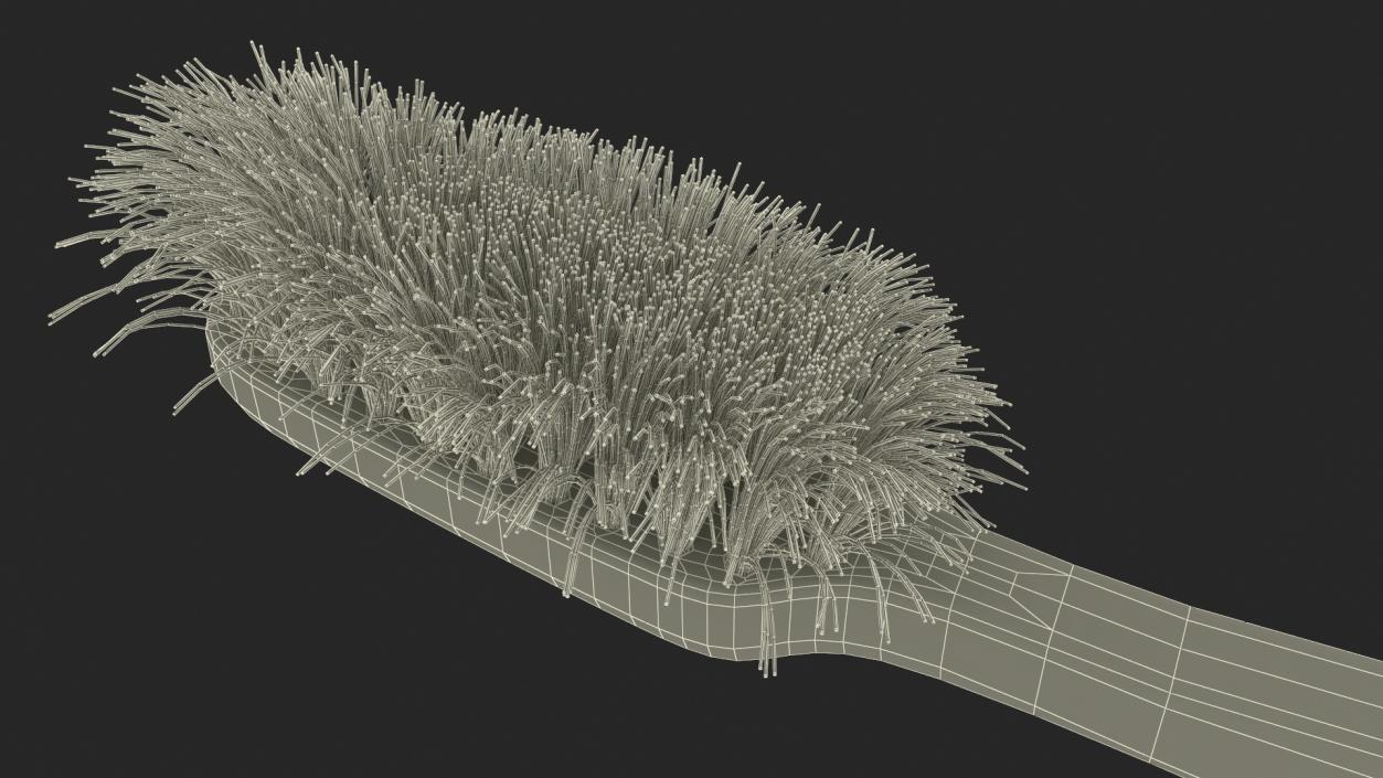 3D Used Dirty Toothbrush