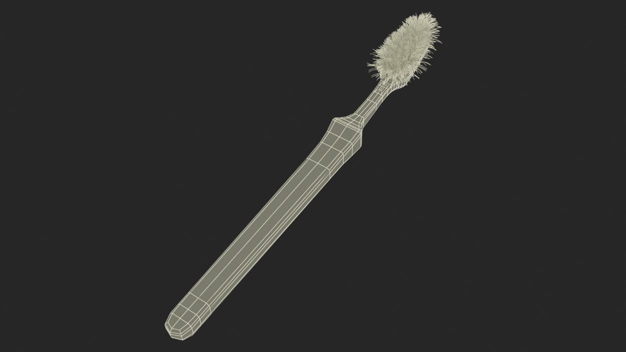 3D Used Dirty Toothbrush