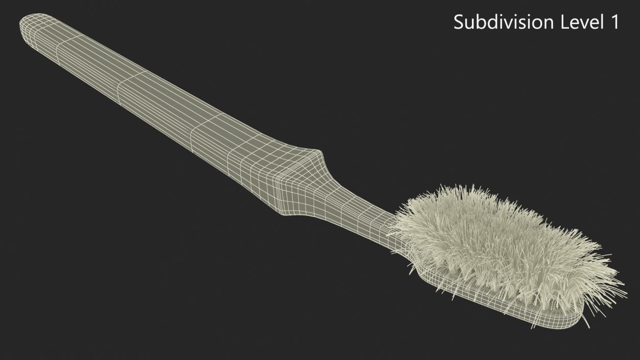 3D Used Dirty Toothbrush