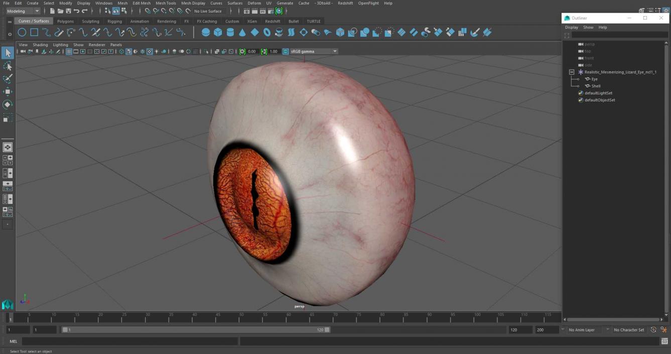 Realistic Mesmerizing Lizard Eye 3D