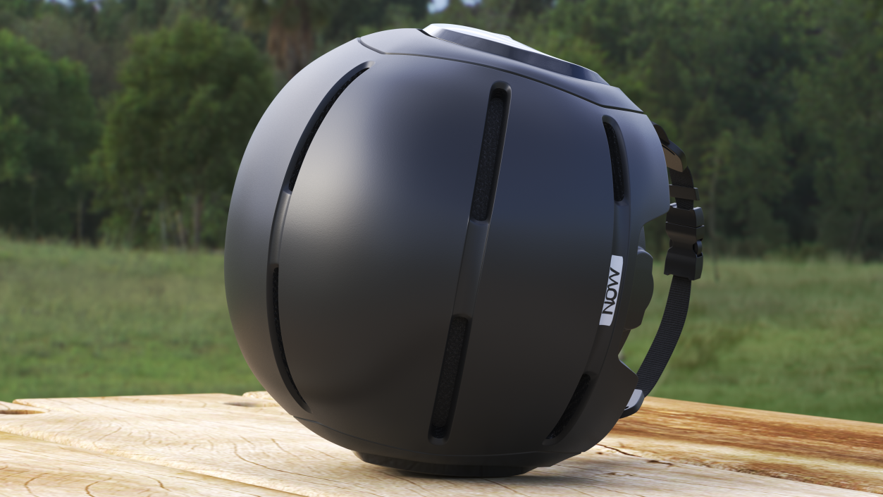 Segway Helmet Black 3D model