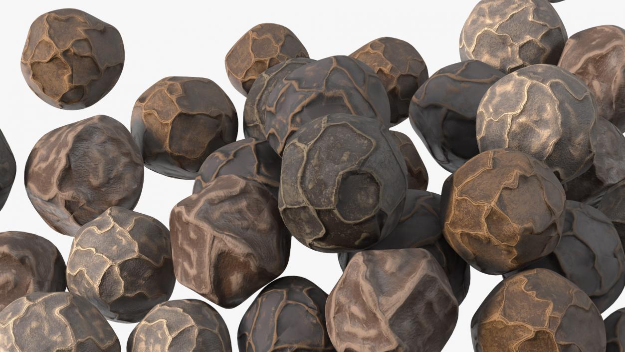 Spices Collection 4 3D model