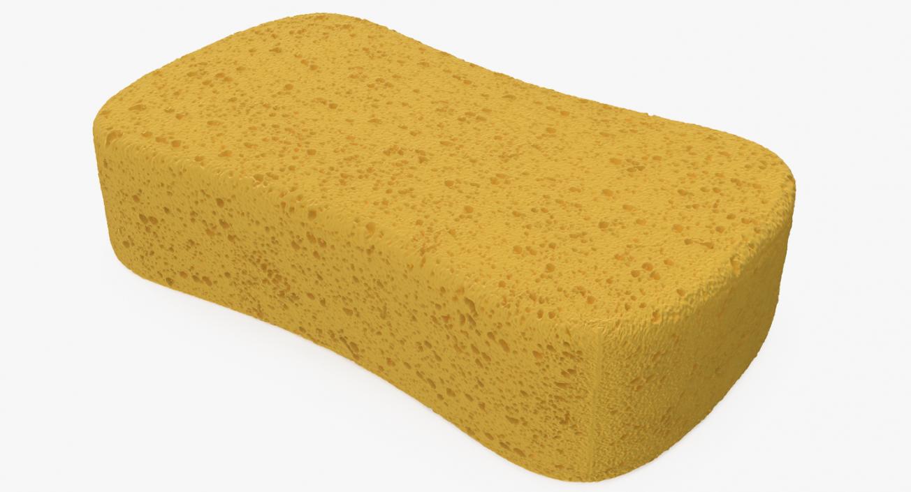 Washing Sponge 3D model