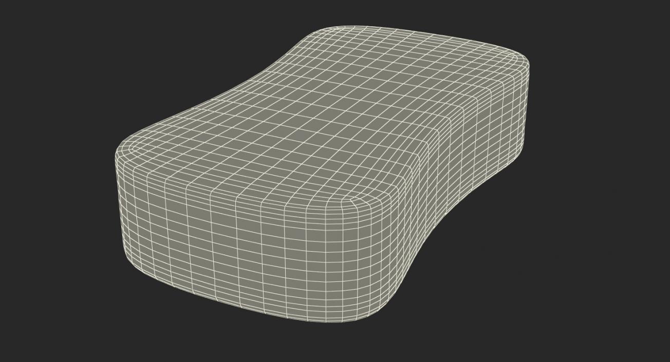 Washing Sponge 3D model