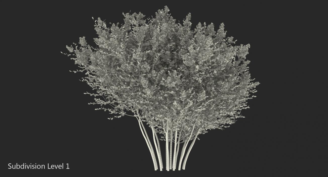 3D Red Crepe Myrtle Tree