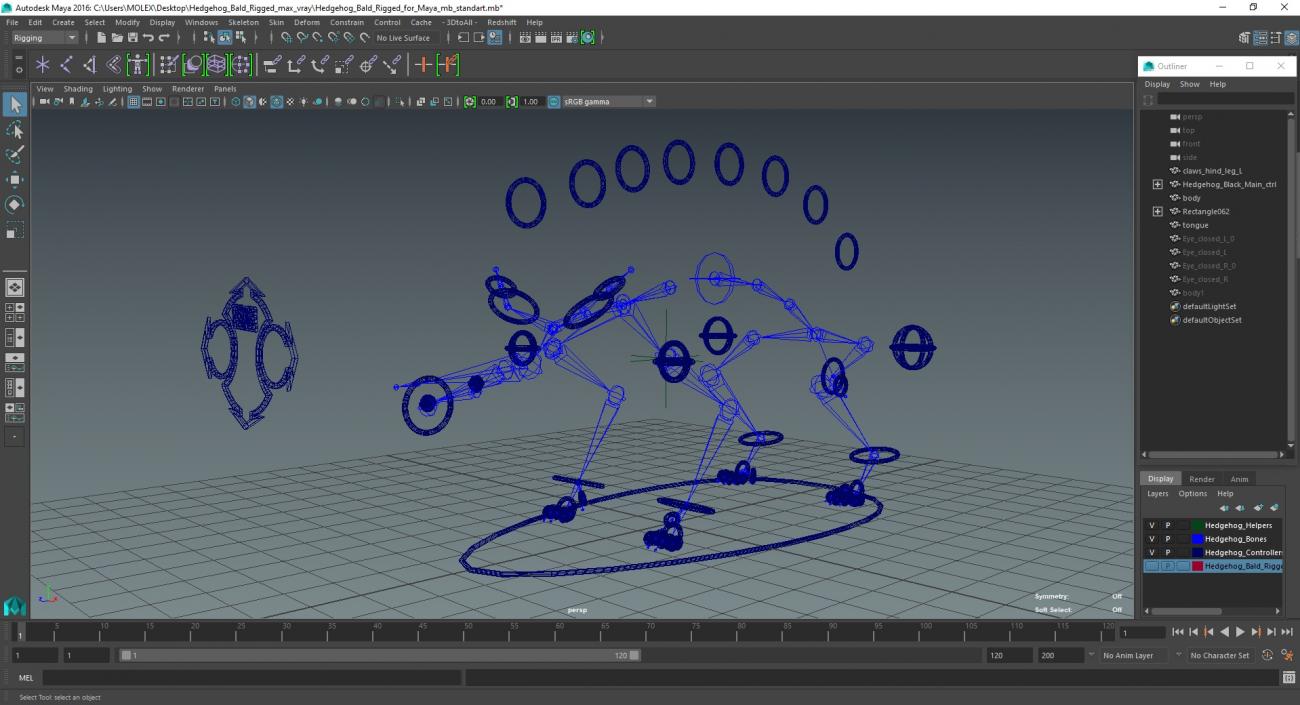 Hedgehog Bald Rigged for Maya 3D model