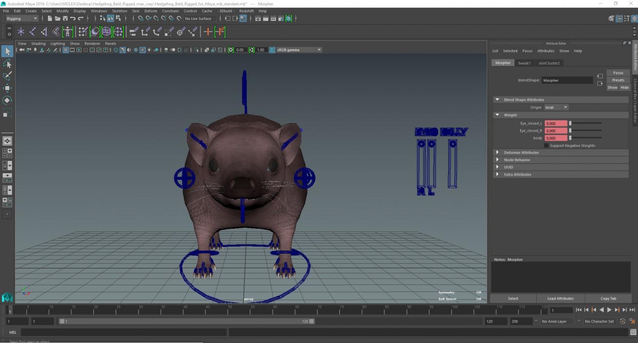 Hedgehog Bald Rigged for Maya 3D model