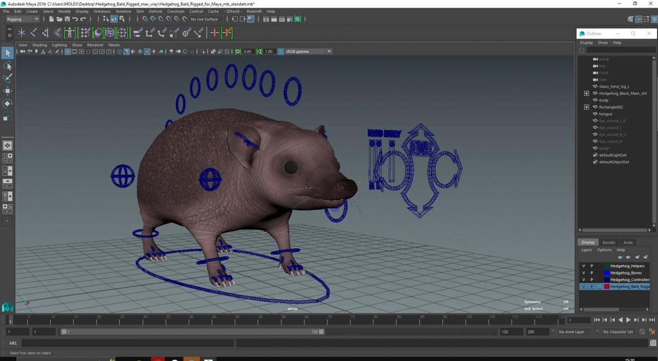 Hedgehog Bald Rigged for Maya 3D model