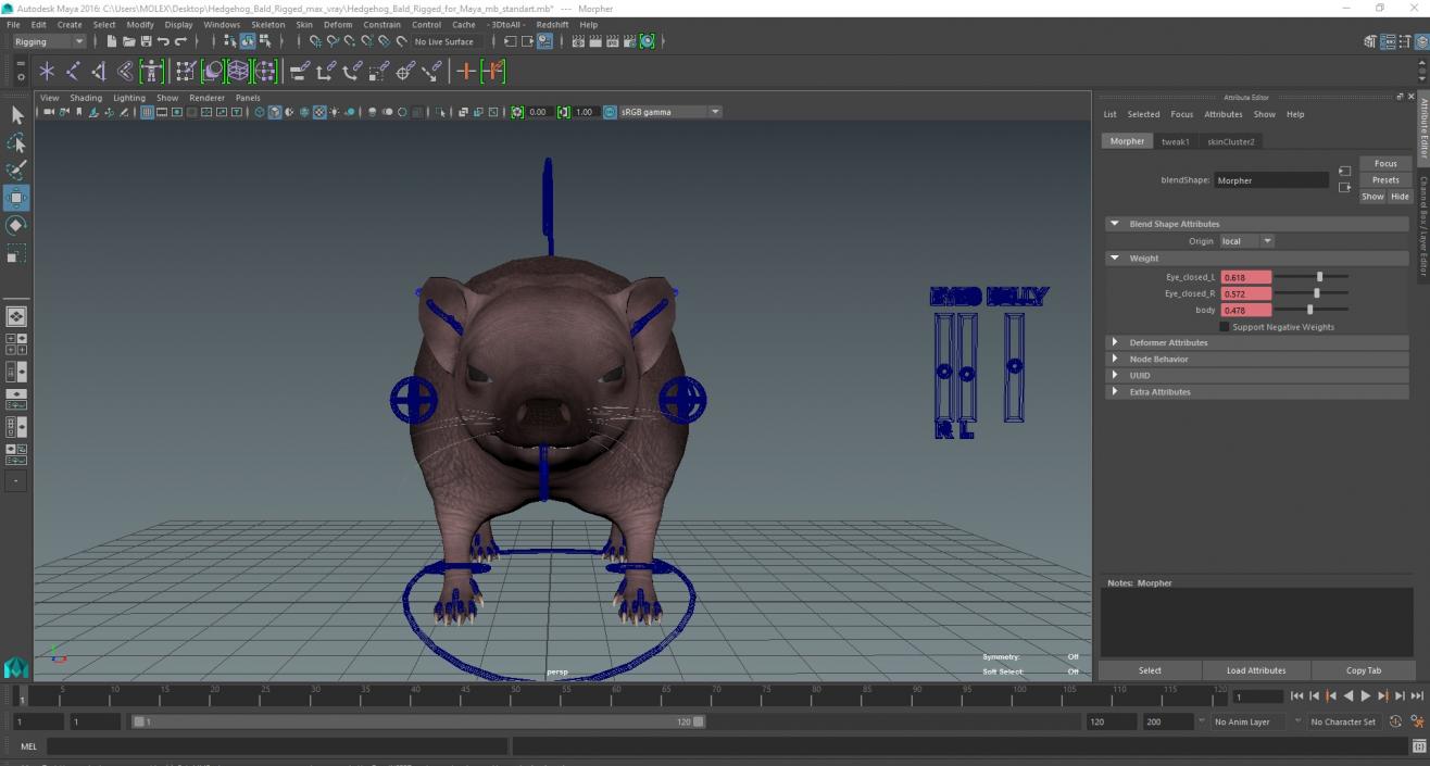 Hedgehog Bald Rigged for Maya 3D model