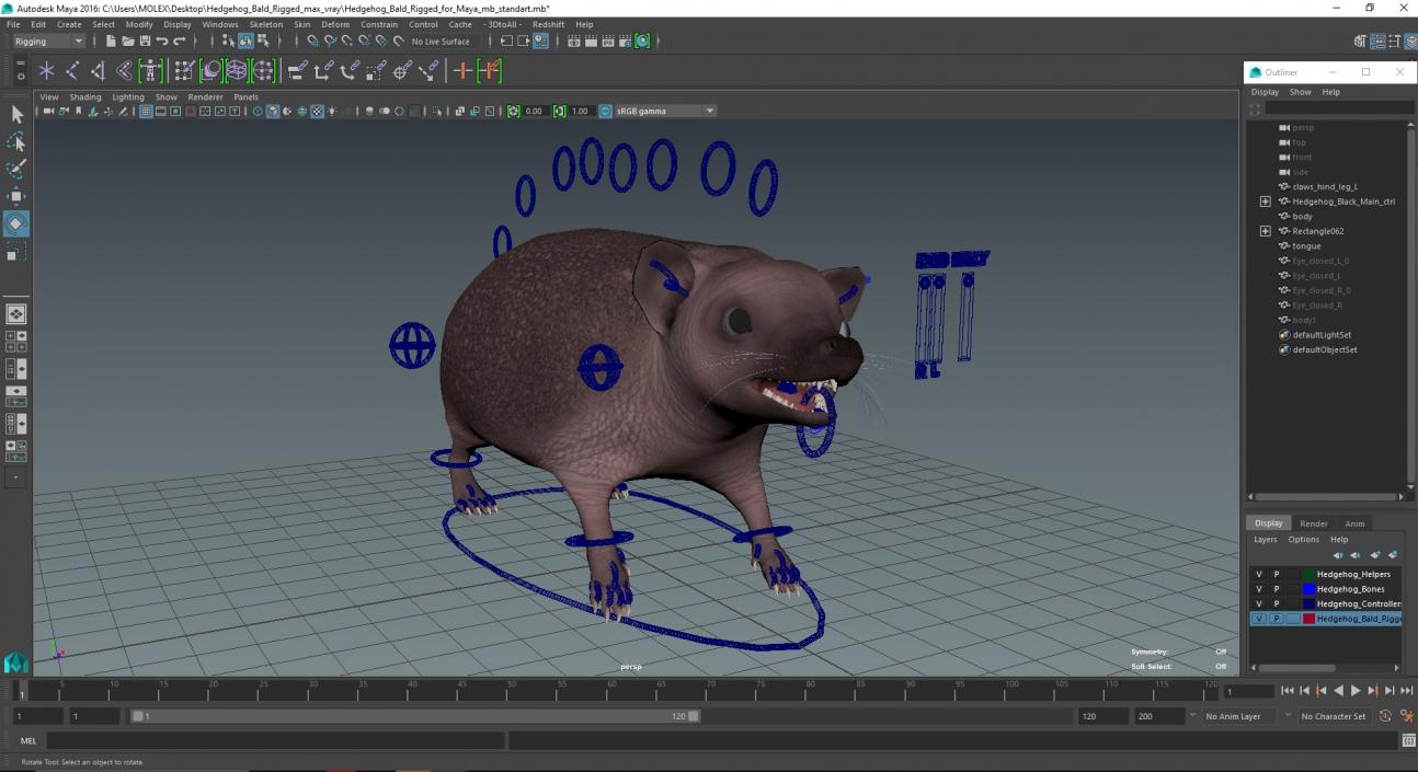 Hedgehog Bald Rigged for Maya 3D model