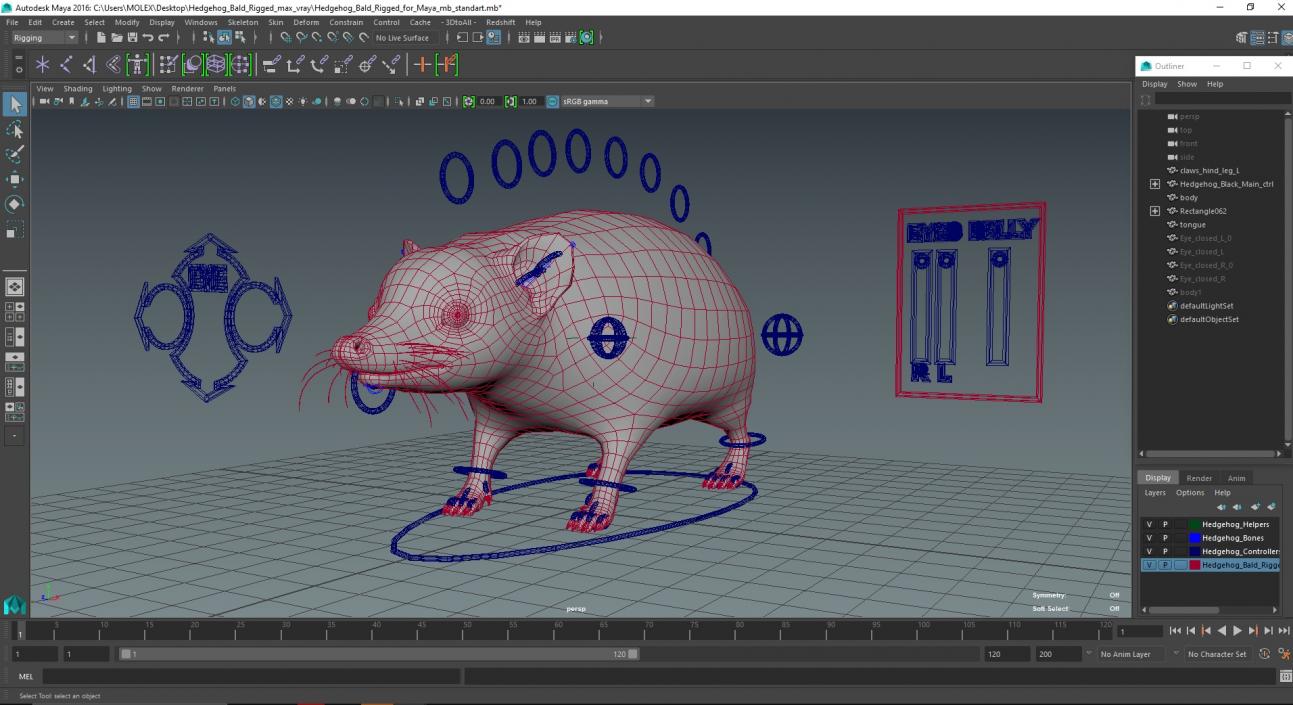 Hedgehog Bald Rigged for Maya 3D model