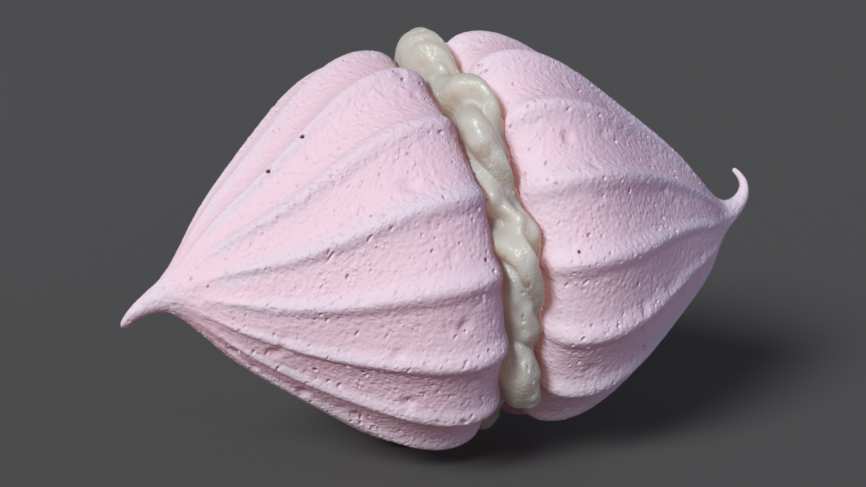 3D Meringue Pink with Vanilla Filling 2