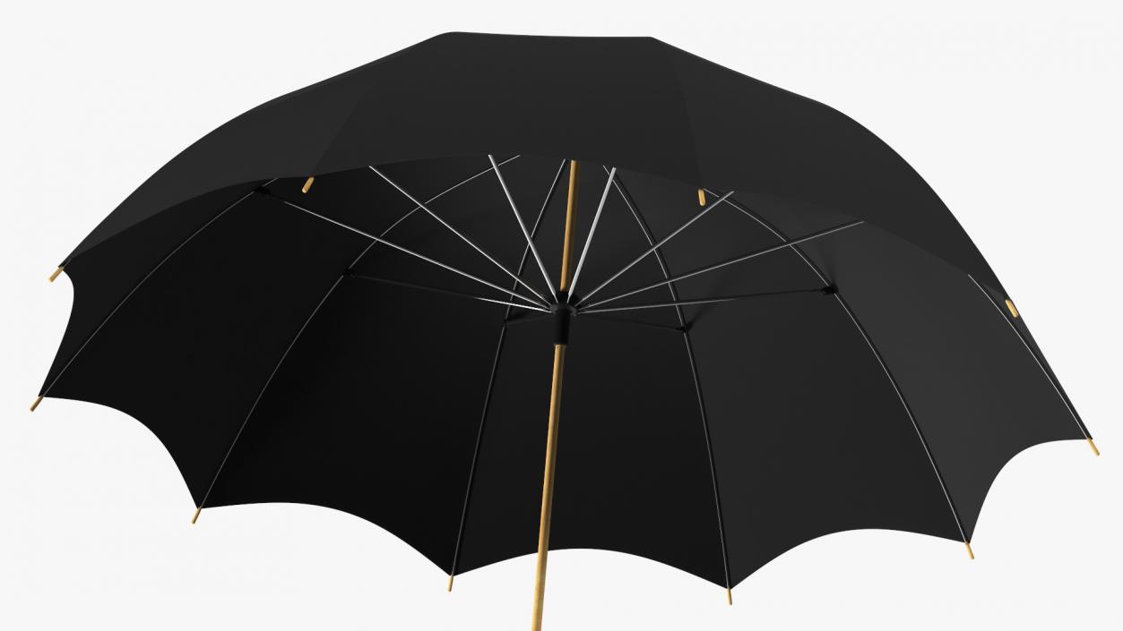 Auto Open Black Umbrella 3D model