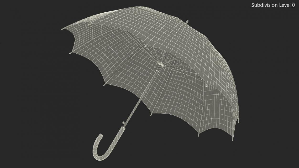 Auto Open Black Umbrella 3D model