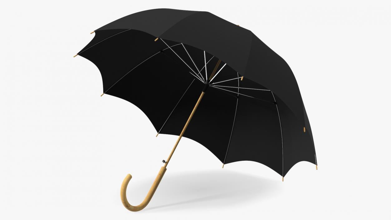 Auto Open Black Umbrella 3D model