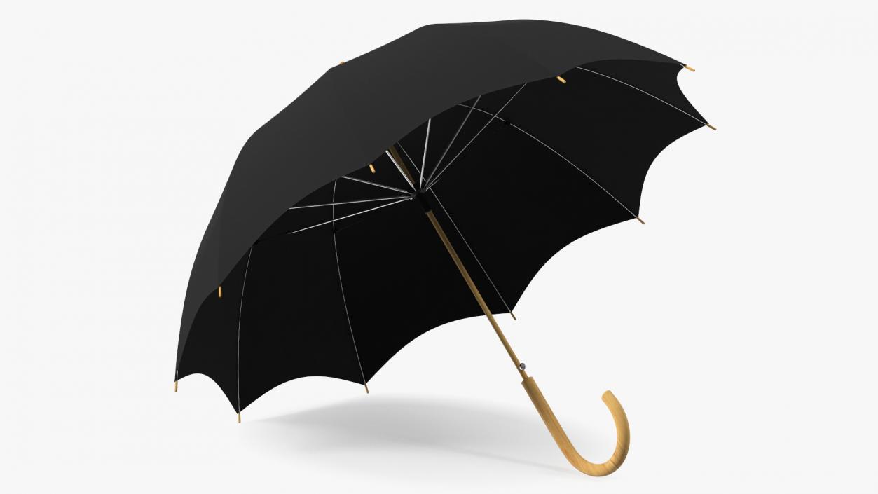 Auto Open Black Umbrella 3D model