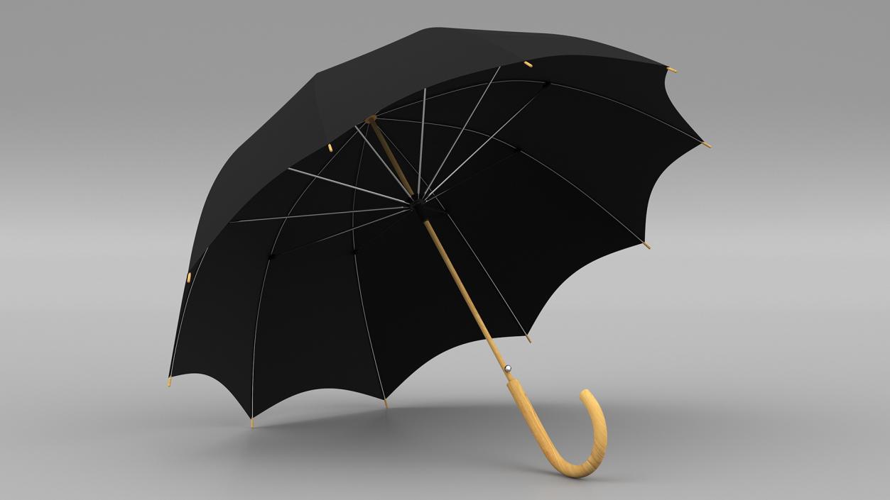 Auto Open Black Umbrella 3D model